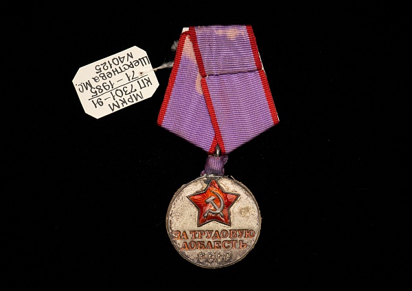 Медаль «За трудовую доблесть»